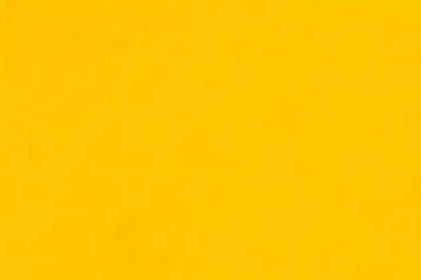 Welcome to Pest Control Solution